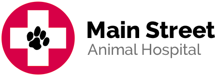 main street animal hospital logo