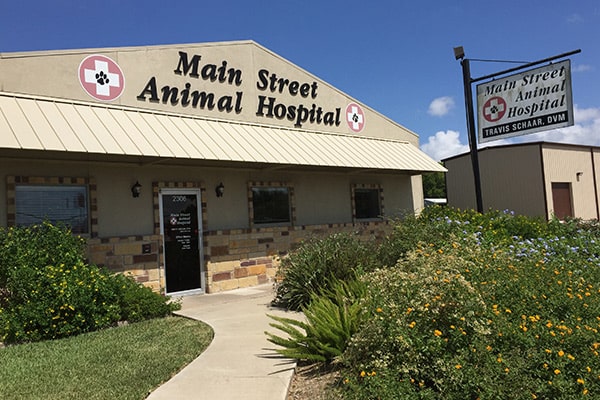 main street animal hospital facade