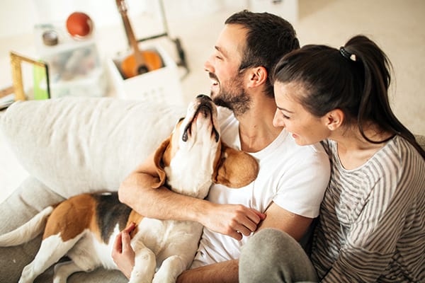 family and dog