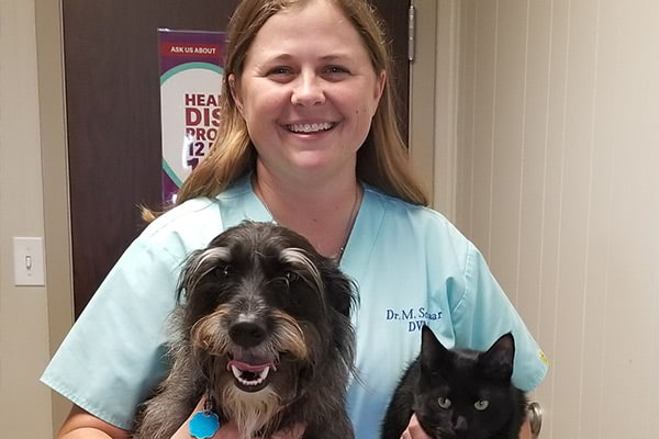 image-team-dr-mal Dr Mallory Shaar